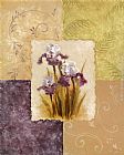 Amethyst Iris by Vivian Flasch